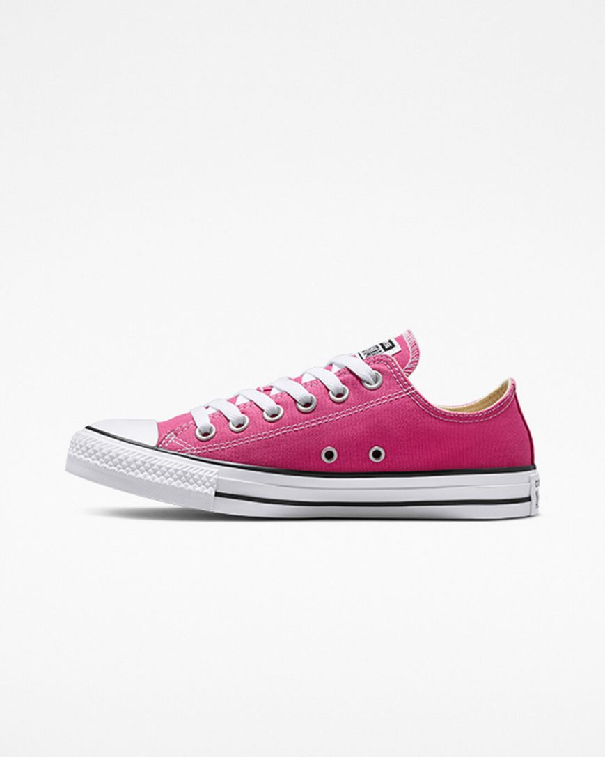 Dámské Boty Nízké Converse Chuck Taylor All Star Seasonal Color Fuchsie Bílé Černé | CZ AIFH19